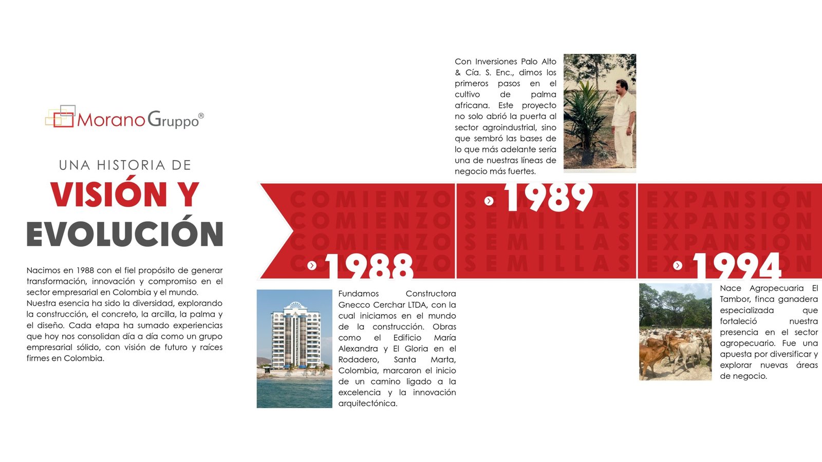 LINEA DE TIEMPO OFICIAL - MORANO GRUPPO (2)_page-0001